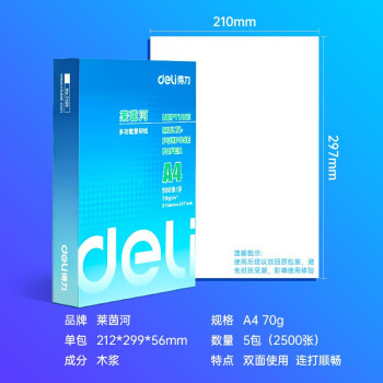 得力（deli） 莱茵河 A4  复印纸 洁白鲜亮细腻平整儿童绘画书写草稿 【HOT品质款】A4 70g-5包/2500张